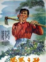凤凰之歌海报
