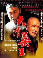 大清药王海报