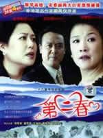 第二春海报