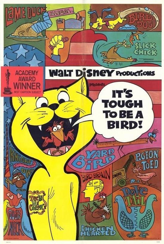 做一只鸟真不易海报