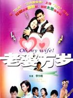老婆万岁海报