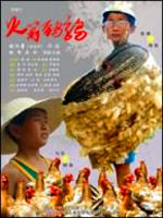火箭鹌鹑海报