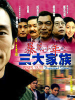 暴风少年之三大家族海报