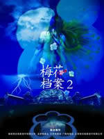 梅花档案2海报
