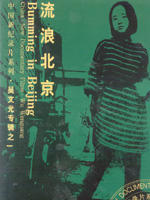 流浪北京海报