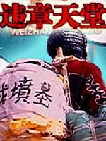 违章天堂海报