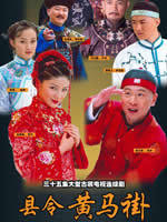 县令黄马褂海报