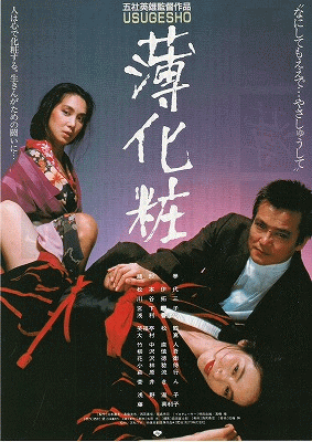 薄化妆海报