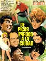 De Picos Pardos a la ciudad海报