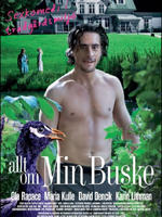 Allt om min buske海报