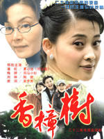 香樟树海报