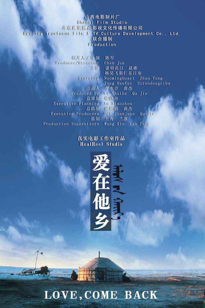 爱在他乡海报