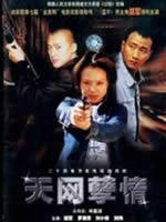 天网孽情海报