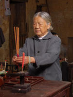 红豆杉海报