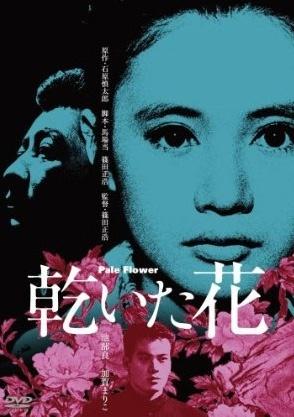 干花海报