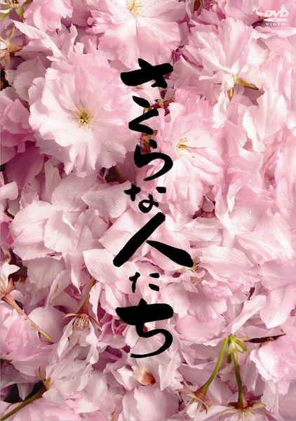 樱花般的人们海报