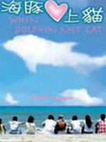 海豚爱上猫海报