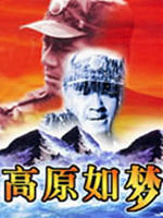 高原如梦海报