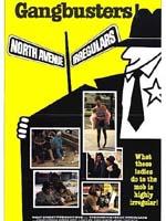 The North Avenue Irregulars海报
