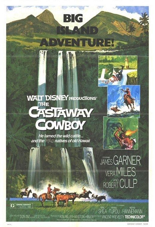 The Castaway Cowboy海报