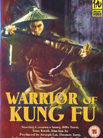 Warriors of Kung Fu