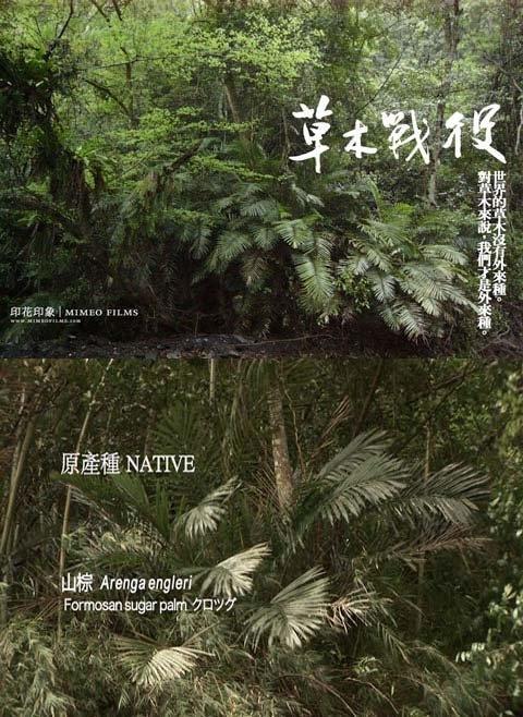 草木战役海报