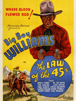 The Law of 45's海报
