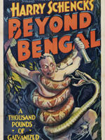 Beyond Bengal海报