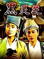 黑灵芝 海报