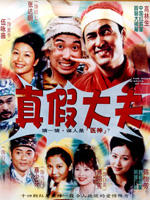 真假大夫海报
