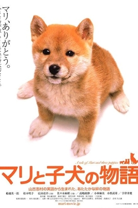 《爱犬的奇迹》国庆上映 讲述感人狗狗故事