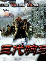三代响马海报