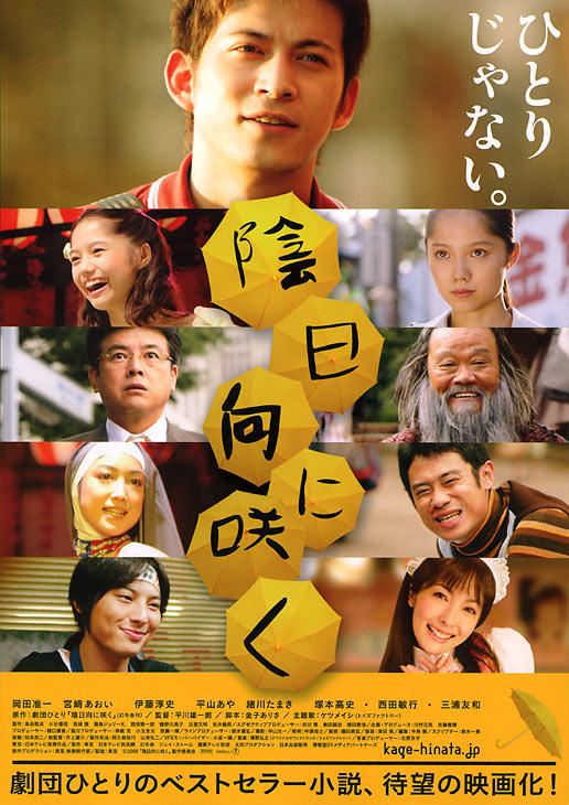 背阴盛放海报