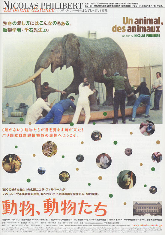 动物，动物们海报