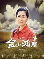 金山鸿雁海报