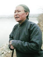 老柿子树海报