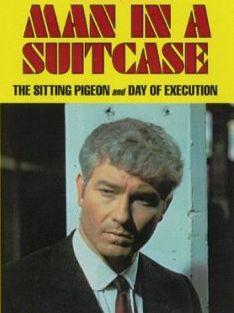 Man in a Suitcase海报