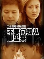 不要问我从哪里来海报
