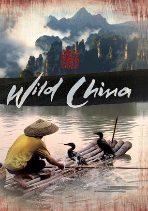 美丽中国海报