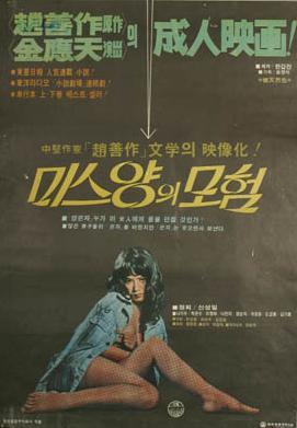 Miss杨的冒险海报