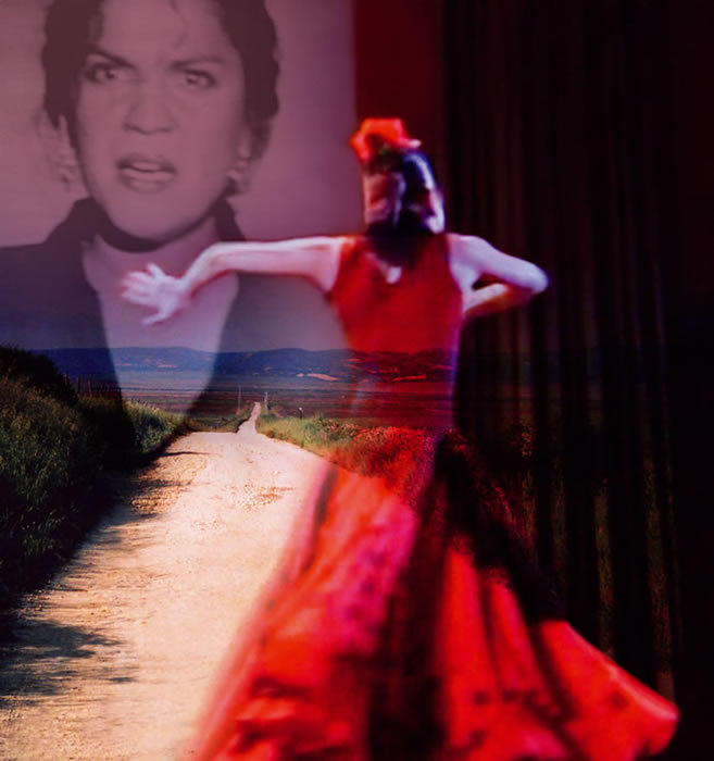 Flamenco mi vida - Knives of the wind海报