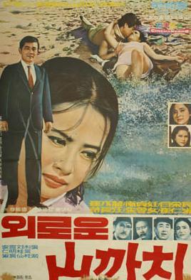 野喜鹊海报
