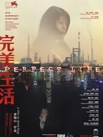 完美生活海报