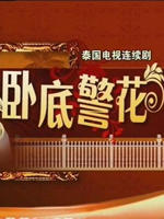 卧底警花海报