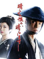 必杀仕事人2009海报