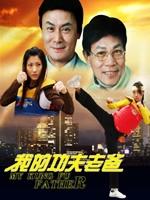 我的功夫老爸海报