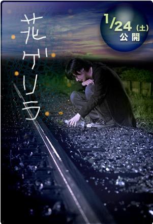 播撒花种海报