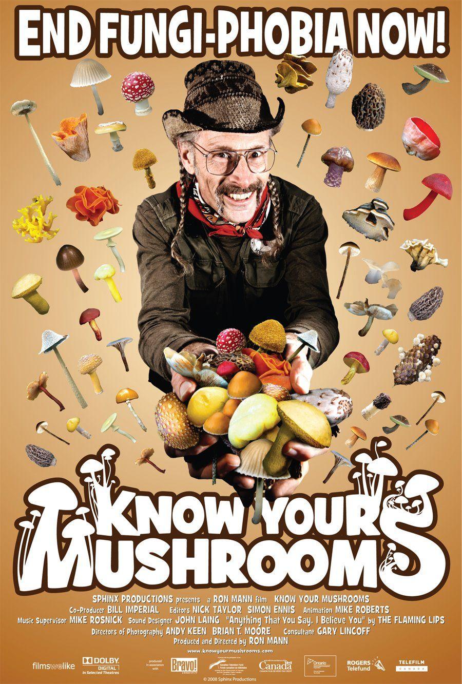 了解你的蘑菇海报