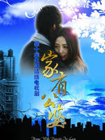 家有公婆海报
