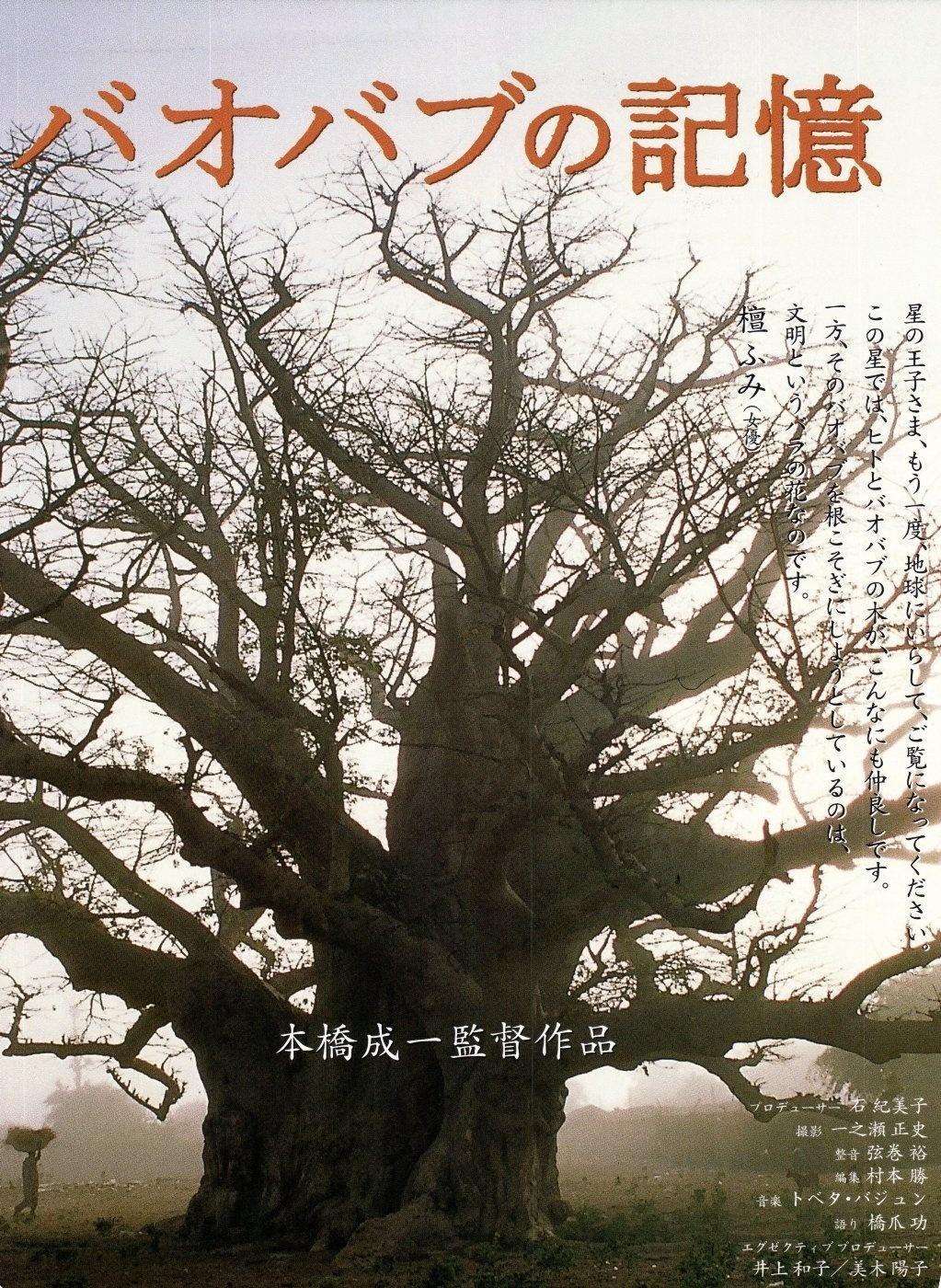 大树的记忆海报